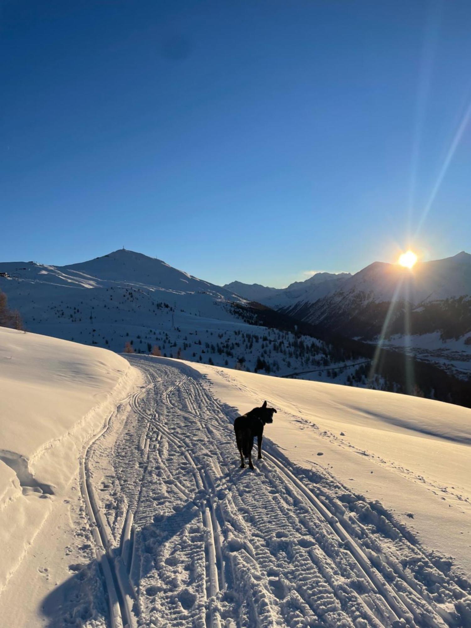 Residence S Lucia - Appartamenti Alle Porte Di Bormio Valdisotto Buitenkant foto