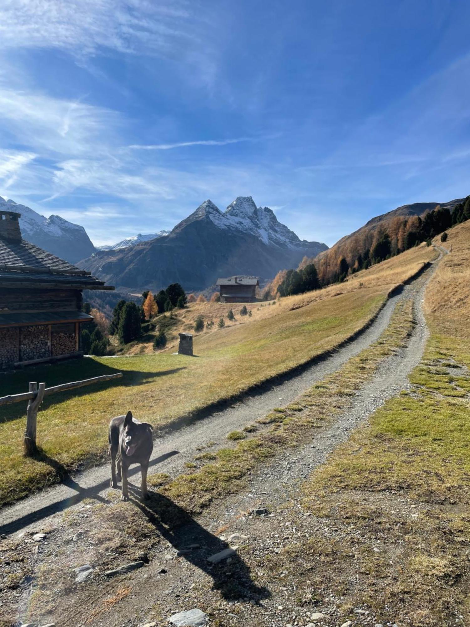 Residence S Lucia - Appartamenti Alle Porte Di Bormio Valdisotto Buitenkant foto
